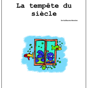 La tempête du siècle