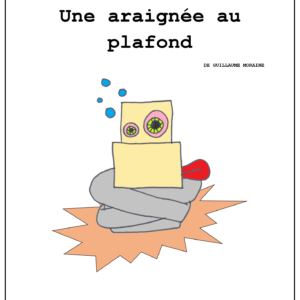 Une araignée au plafond