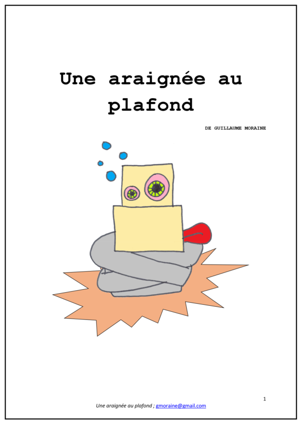 Une araignée au plafond